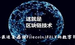 2023年最适合存储Filecoin（