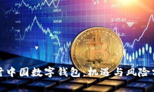 探讨中国数字钱包：机遇与风险分析